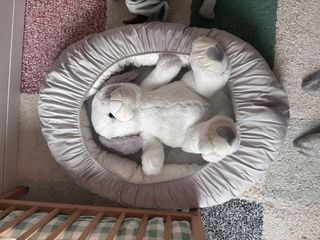 Nido Cojín de lactancia Cambrass