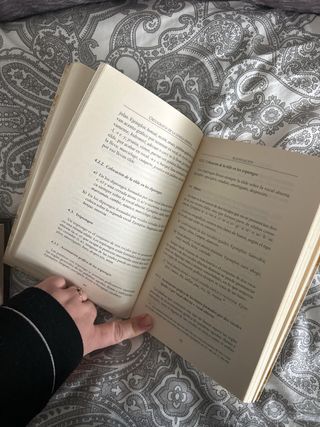 Ortografía de la Lengua Española (Edición revis...