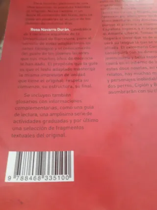 Novelas ejemplares, adaptación de Rosa Navarro.