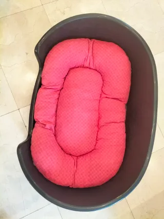 Cama perro plástico 100x70x28 de alto, con colchón