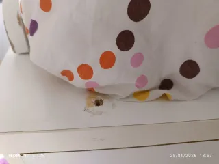 Litera de madera con cajoneras