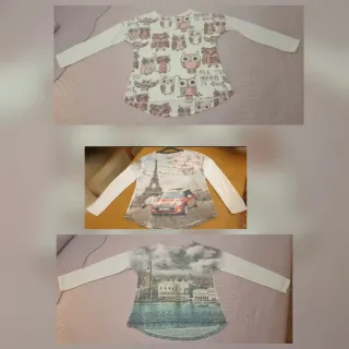 Camiseta algodón manga larga  búhos.