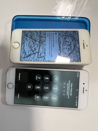 iPhone SE y iPhone 6 Plata