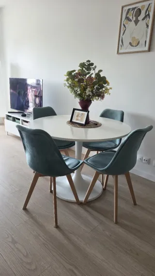 Sillas de terciopelo verde azulado