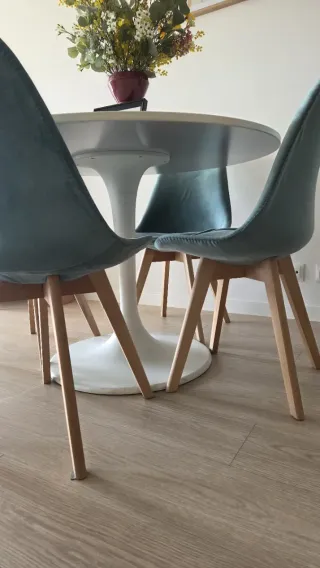 Sillas de terciopelo verde azulado