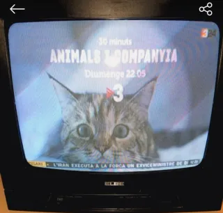 Televisor de Elbe 14" Color, a estrenar