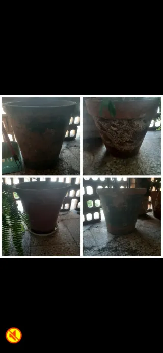 Macetas de terracota (marrón y verde)