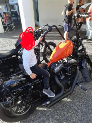 Harley Davidson Forty-Eight 2010 Custom