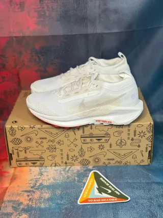 Nike Pegasus Trail 5 Gtx Uomo