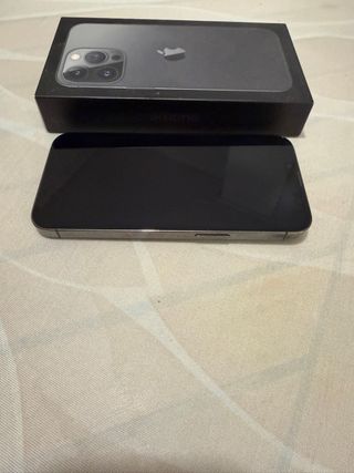 iPhone 13 Pro 256 GB Gris/Plata