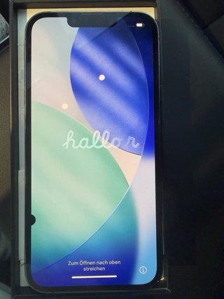 iPhone 13 Pro 256 GB Gris/Plata