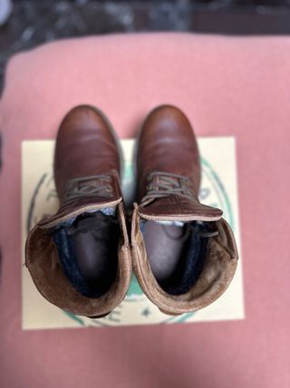 Botas Panamá Jack Amur GTX Talla 41