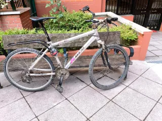 Bicicleta de Montaña