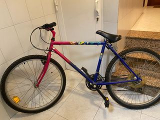 Bicicleta Montaña Azul y Rosa