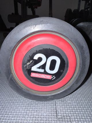 Mancuernas 20 kg (par)