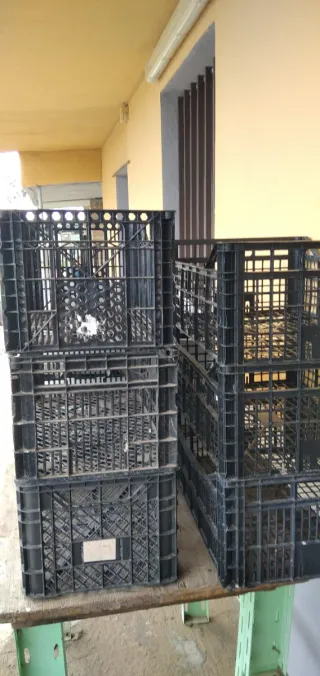 Barquillas de plástico apilables