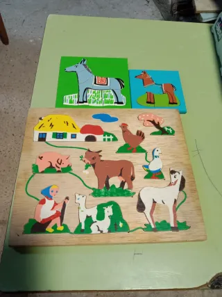 Puzzles de Madera Educativos