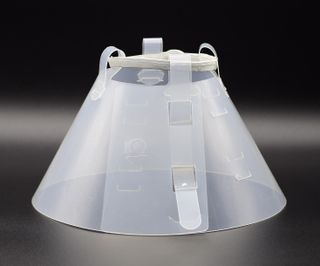 Collar Isabelino 15cm - Muy Cómodo y Esterilizado