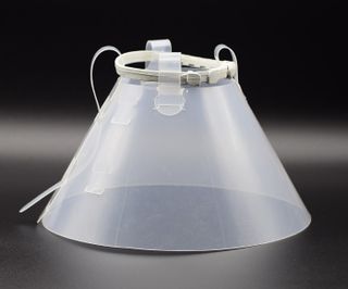 Collar Isabelino 15cm - Muy Cómodo y Esterilizado