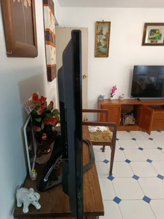 Televisor Negro y Marrón