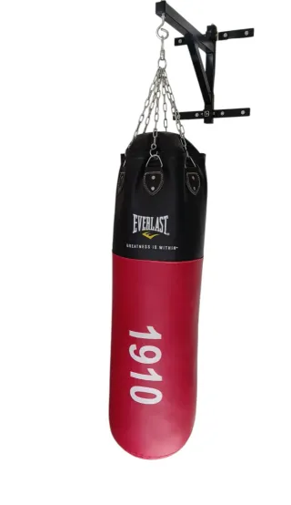 Saco Boxeo Everlast 1910 + Anclaje Pared