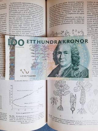 Billete sueco Antiguo, oferta enero.