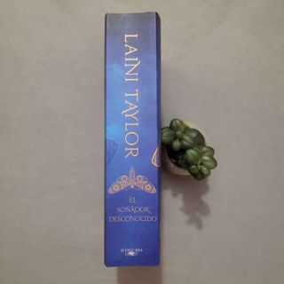 El Soñador Desconocido