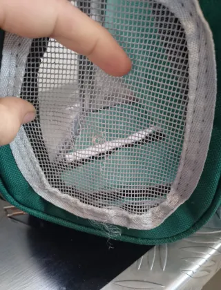 Mochila transportín para mascotas