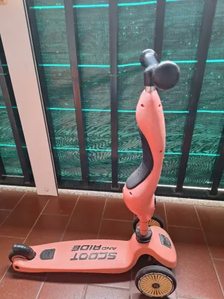 Patinete 2 en 1 Scoot and Ride
