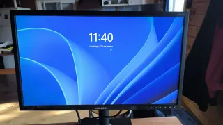 Monitor Samsung S22E450 Negro