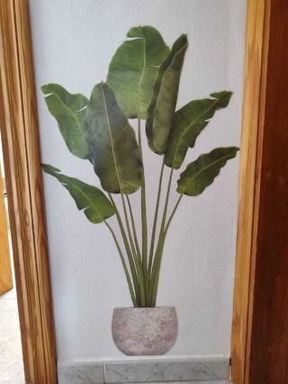 ADHESIVO PARED PLANTA +REGALO ADHESIVO WC