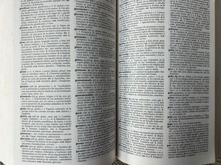 Nuevo Diccionario Esencial de La Lengua Espanol...