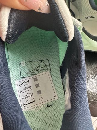 Nike Pegasus Easyon Gris/Verde