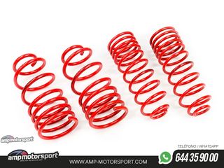 MUELLES DEPORTIVOS MTS TECHNIK MTSXSE018