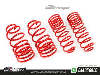 MUELLES DEPORTIVOS MTS TECHNIK MTSXFO136