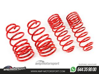 MUELLES DEPORTIVOS MTS TECHNIK MTSXVW117