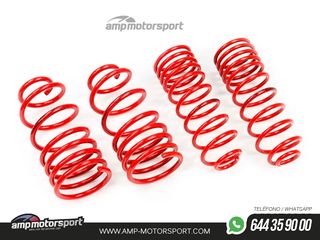 MUELLES DEPORTIVOS MTS TECHNIK MTSXOP195