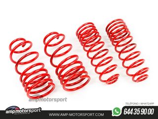 MUELLES DEPORTIVOS MTS TECHNIK MTSXBM262