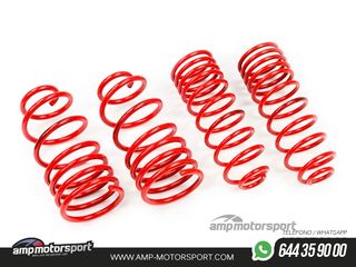 MUELLES DEPORTIVOS MTS TECHNIK MTSXSE106