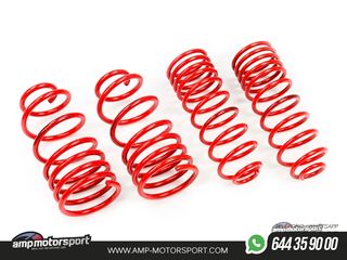 MUELLES DEPORTIVOS MTS TECHNIK MTSXVW198