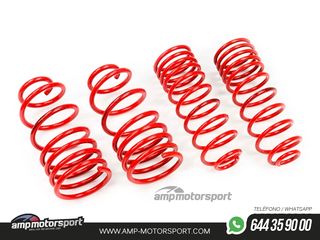 MUELLES DEPORTIVOS MTS TECHNIK MTSXMM021