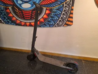 Patinete Eléctrico Ninebot Segway ES2