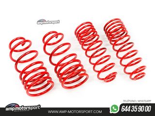 MUELLES DEPORTIVOS MTS TECHNIK MTSXSZ030