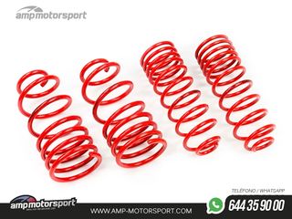 MUELLES DEPORTIVOS MTS TECHNIK MTSXVW311