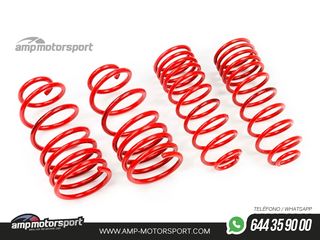 MUELLES DEPORTIVOS MTS TECHNIK MTSXSK107