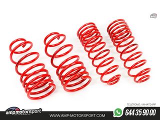 MUELLES DEPORTIVOS MTS TECHNIK MTSXSE110