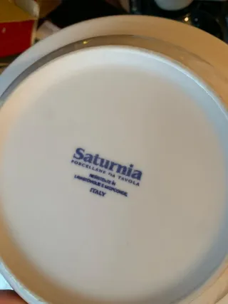 Vajilla Porcelana Saturnia Flores Tulipan