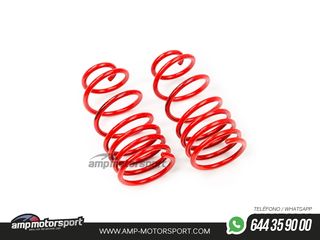 MUELLES DEPORTIVOS MTS TECHNIK MTSXRE004