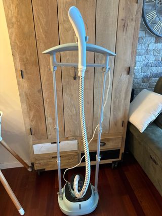 Plancha de vapor vertical Taylor Swoden