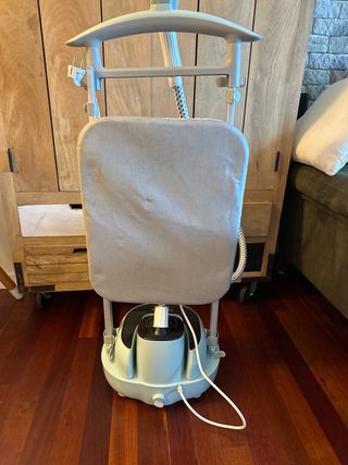 Plancha de vapor vertical Taylor Swoden